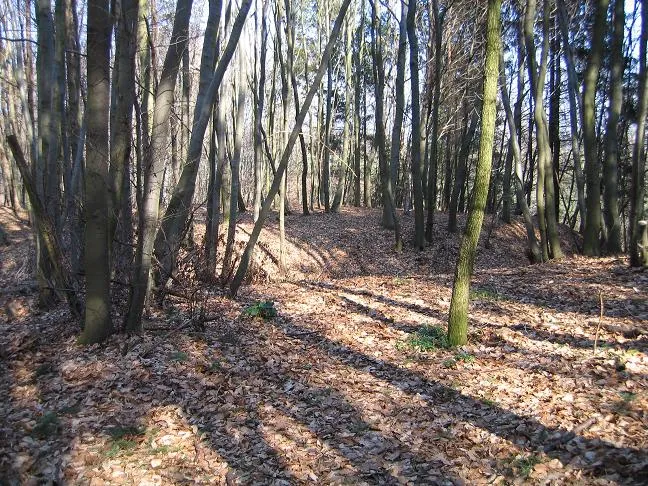Alte Burg bei Labach