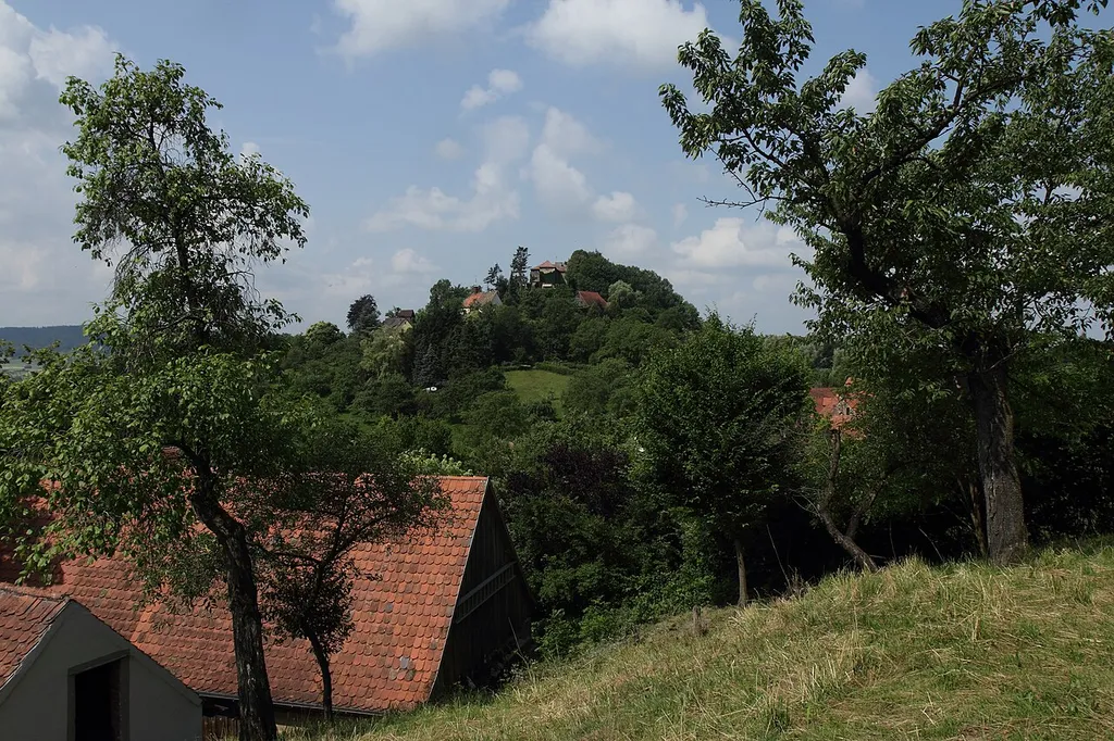 Burgruine Stauf - Ansicht des Burgberges vom östlich angrenzenden Altenberg aus