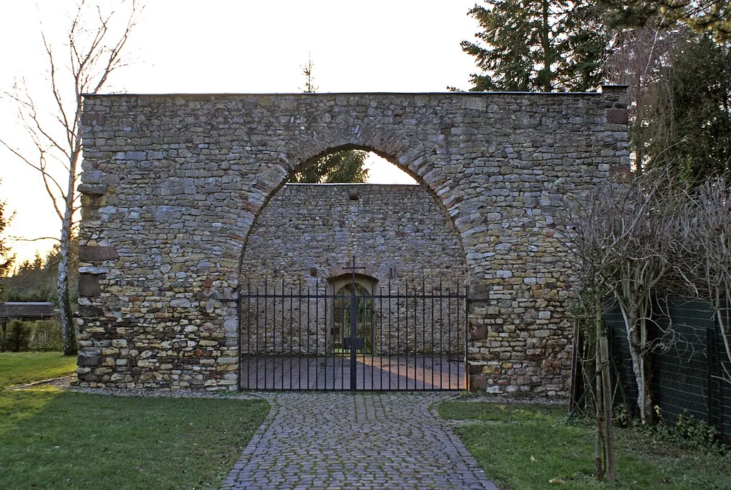 Ruine der Johanniskirche in Niederwalluf