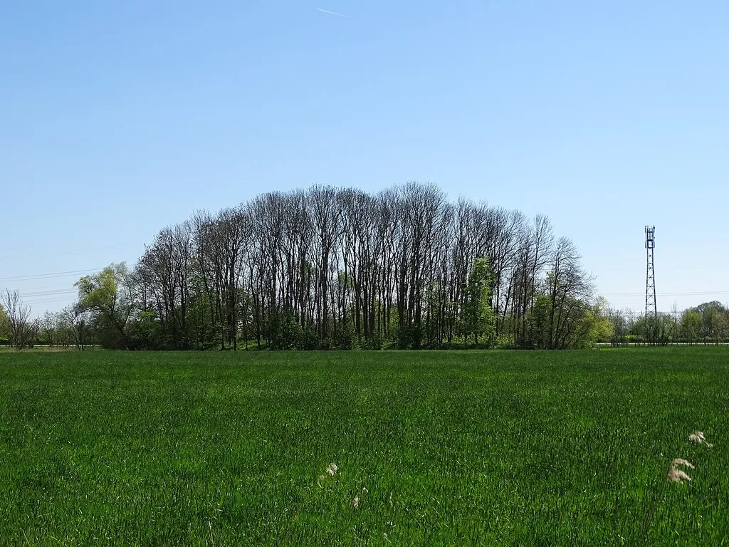 Mönkeburger Busch