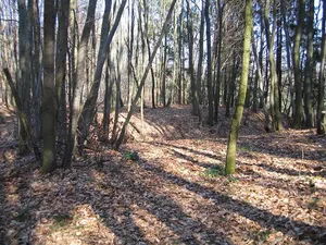 Alte Burg Labach