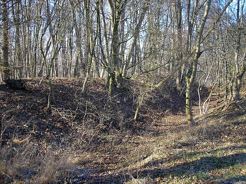 Hochmittelalterlicher Burgstall Mühlhausen (Gemeinde Affing, Landkreis Aichach-Friedberg, Bayerisch-Schwaben). Der Graben der Vorburg nach Nordwesten. Eigene Aufnahme, Feb. 2008 / High Middle Ages Muehlhausen castle near Affing (Landkreis Aichach-Friedberg, Bavaria, Germany). The moat of the bailey, looking north west. Own photo, Feb. 2008
