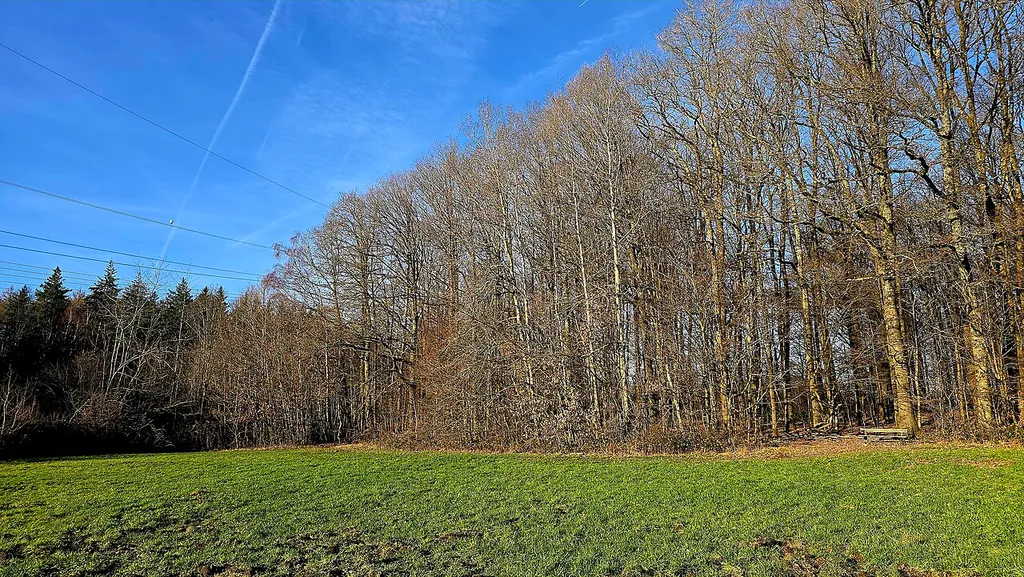 Ruhbachtal - Kirchendick (Spiesen-Elversberg)