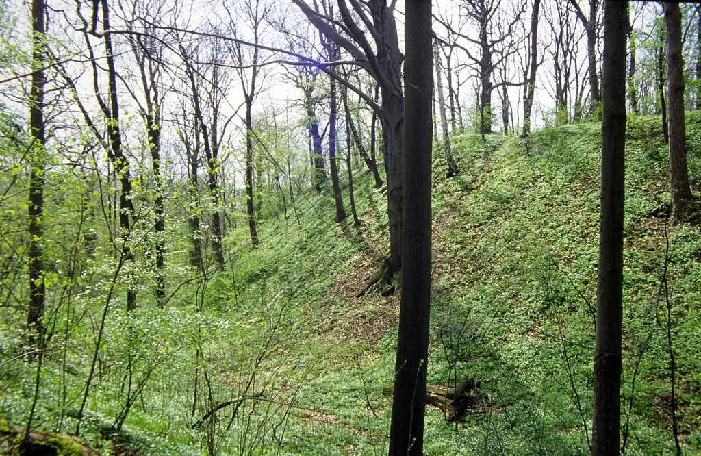 Burgwall bei Gera-Langenberg, 1998