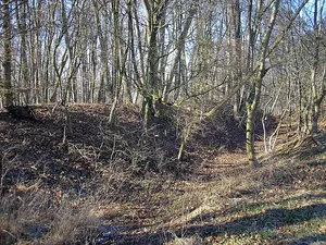 Burgstall Mühlhausen