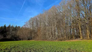 Ruhbachtal - Kirchendick (Spiesen-Elversberg)