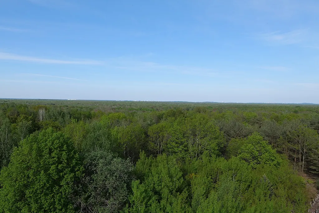 Blick vom Aussichtsturm am Finkenberg in der Döberitzer Heide am 8. Mai 2020.