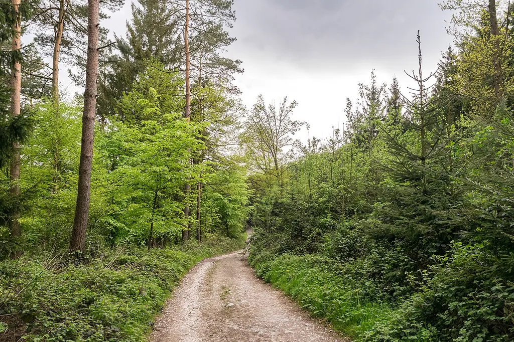 Naturschutzgebiete Östlicher Teutoburger Wald (LP BI-Senne) (rechts) und Menkhauser Bachtal (BI) (links)