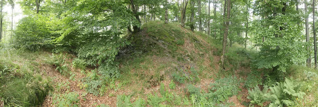 Burgstall Hohenrod - Ansicht des Burghügels der Kenburg (Juni 2013)