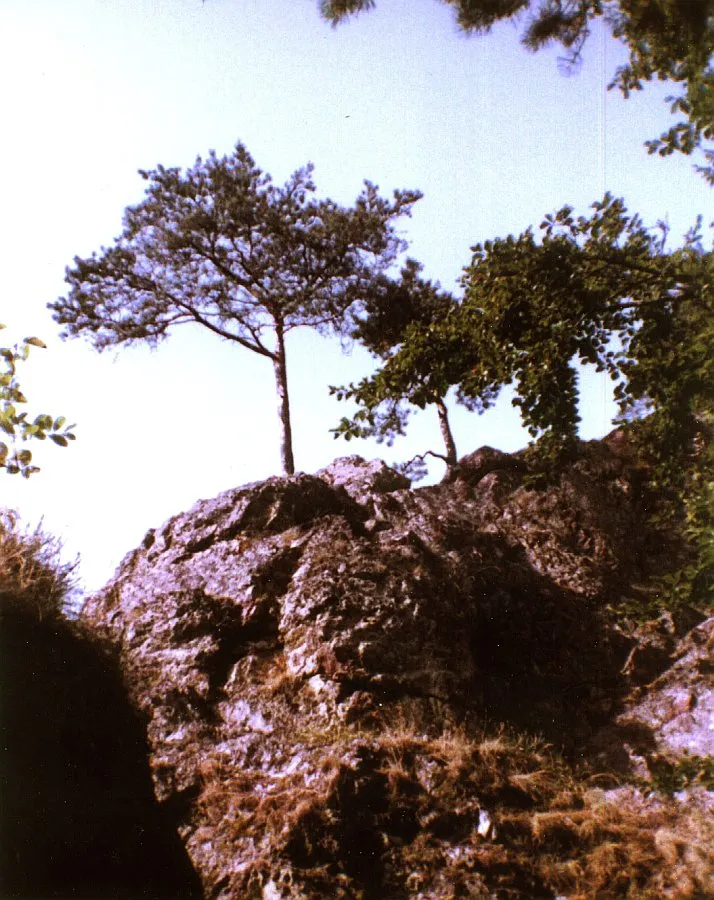 "Räuberschlößle", Burgfelsen von Neu-Blumberg