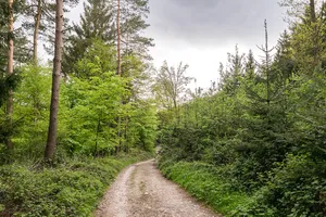 Östlicher Teutoburger Wald (LP Bielefeld-Senne)
