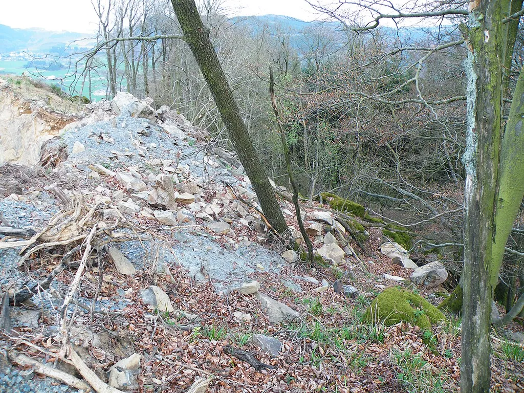 NSG Auf der Burg nördlich Bestwig-Berlar im Sauerland NRW; links Steinbruch Halbeswig