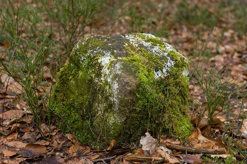 Grenzstein Fürther Stadtwald in Zirndorf