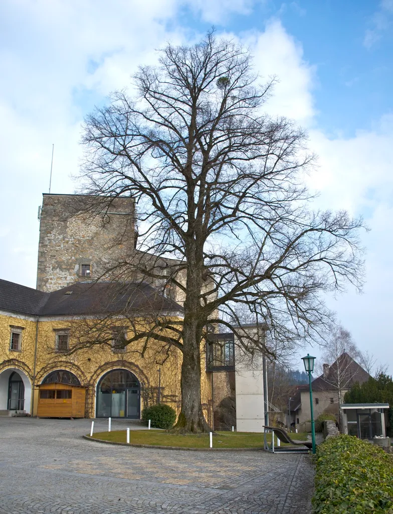 This media shows the natural monument in Upper Austria with the ID nd311.
