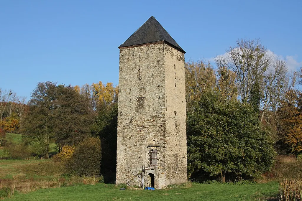 Burg Mühlenbach in Koblenz