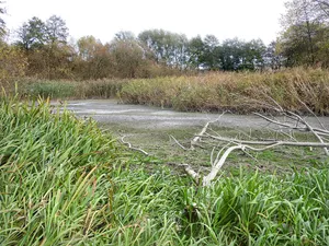 Frankenloch bei Heldra