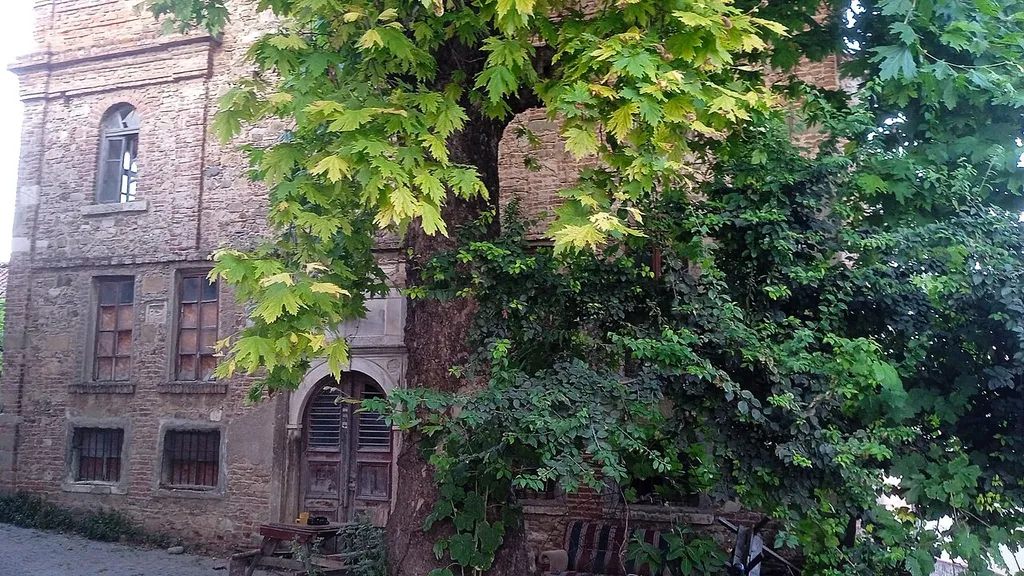Church of St. John, Tirilye