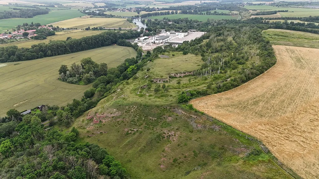 Das Naturschutzgebiet "Nelbener Grund und Georgsburg" in Könnern, Sachsen-Anhalt