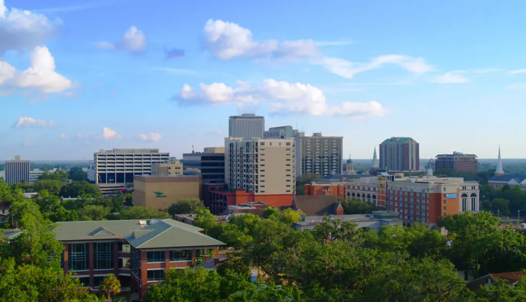 Tallahassee Florida Skyline