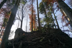 Riedburg castle ruin