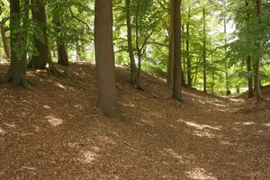 Aseburg