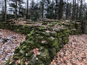 Burgruine Heitnau