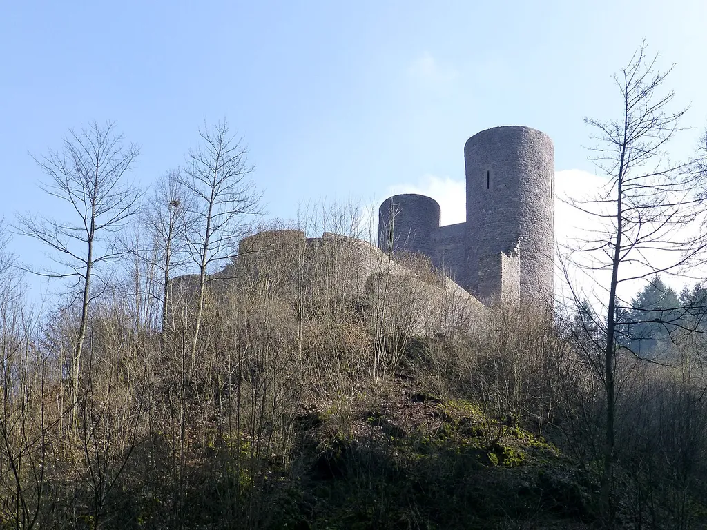 Burg Frauenburg bei Frauenberg (Nahe)