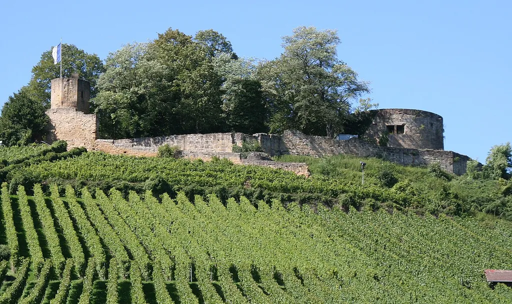 Burgruine Weibertreu from the East