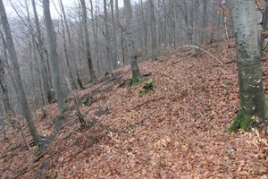 Winken Castle