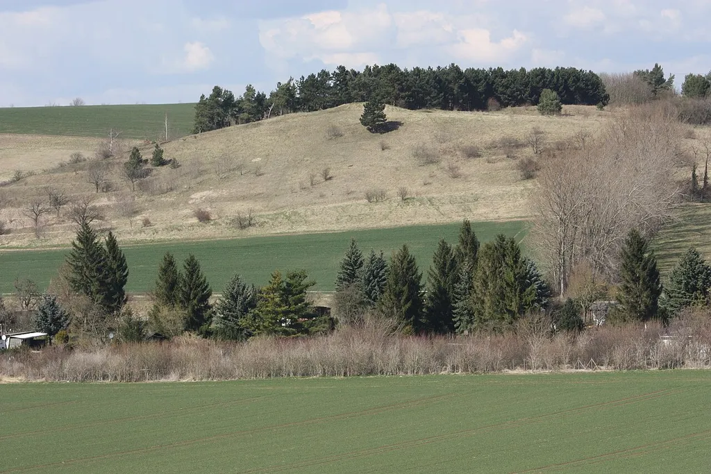 Hornburg (Seegebiet Mansfelder Land), the Hornburg anticline