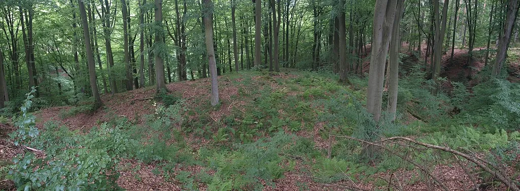 Hill of the former castle Wallenfels. In front of the picture, the curved moat is identifiable