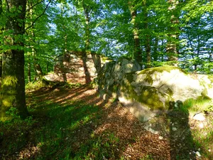 Burg Sattelpeilnstein