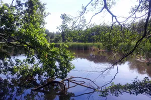 Fünfhufenteich