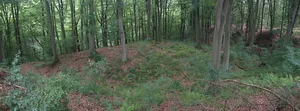 Burgstall Wallenfels