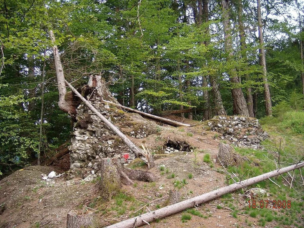 Burgruine Erenberg (Ehrenberg)