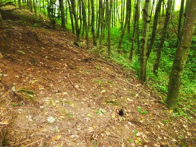 Antiesenberg-Grabenanlage