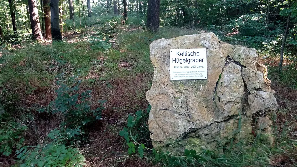 Grabhügelgruppe Dienstadt im Dienstadter Wäldle auf dem Dornberg