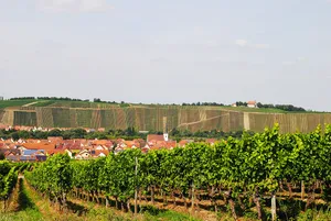 Burgstall Vogelsburg