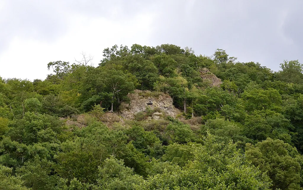 Alter Falkenstein