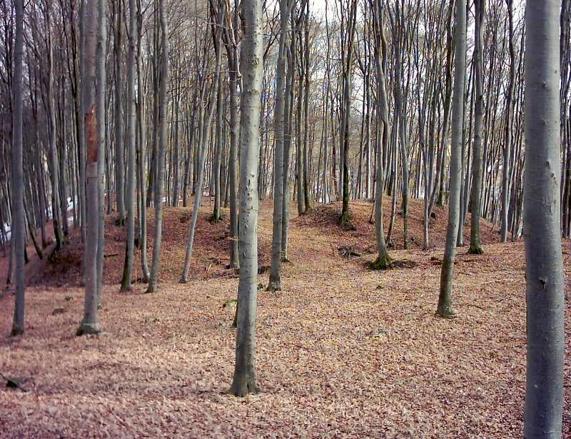 Der Frontwall der Hauptburg.