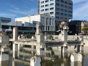 Christchurch Seagull Pit