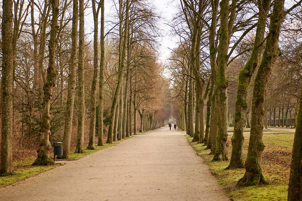 Ansbach: Hofgarten, Lindenallee