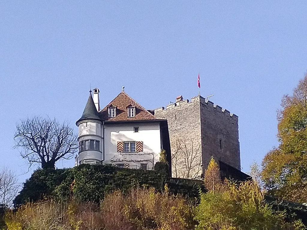 Blick vom Schiffenensee auf die Burg Petit-Vivy