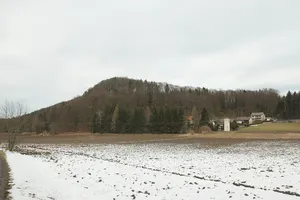 Burgstall Leuenstein