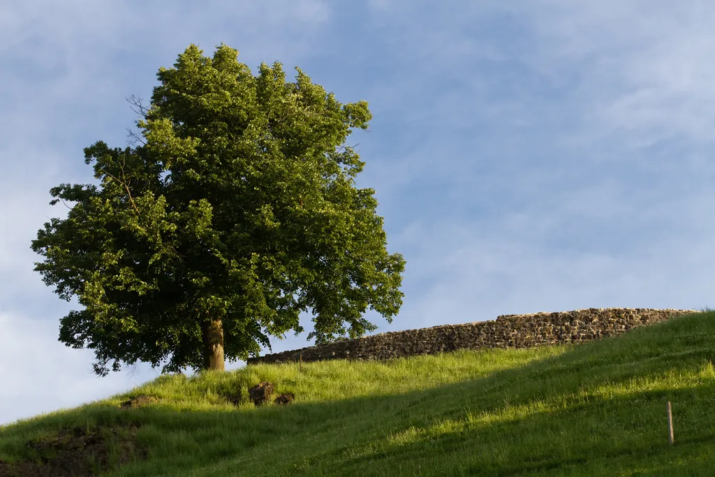 Burgruine Rotzberg in Ennetmoos (Kulturgut, Liste B)