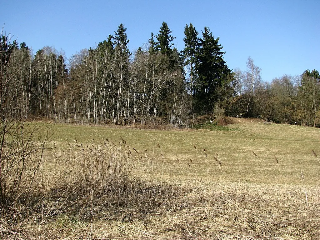 Der Hügel mit dem Burgstall Parsberg (Gemarkung Puchheim) von Süden (Germeringer Gebiet).