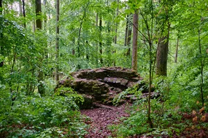 Burgstall Guttenberg