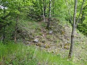 Dobřany Castle