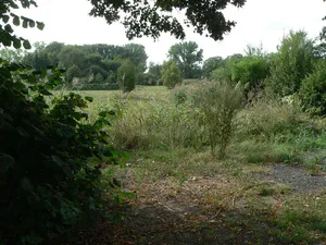 Wasserburg Hainhausen