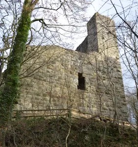 Burg Blankenhorn